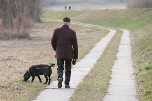 A man who used to have lower back pain, walking his dog in the park Gerald R. of Brighton, MI is able to get his life back after resolving his lower back pain